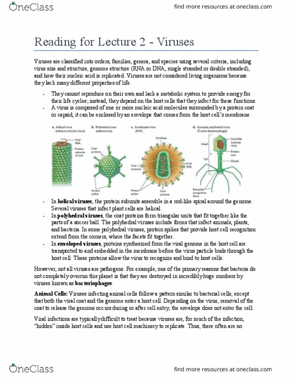 Biology 1001A Chapter Notes - Chapter Cycle 2: Retrovirus, Dna Virus, Prokaryote thumbnail
